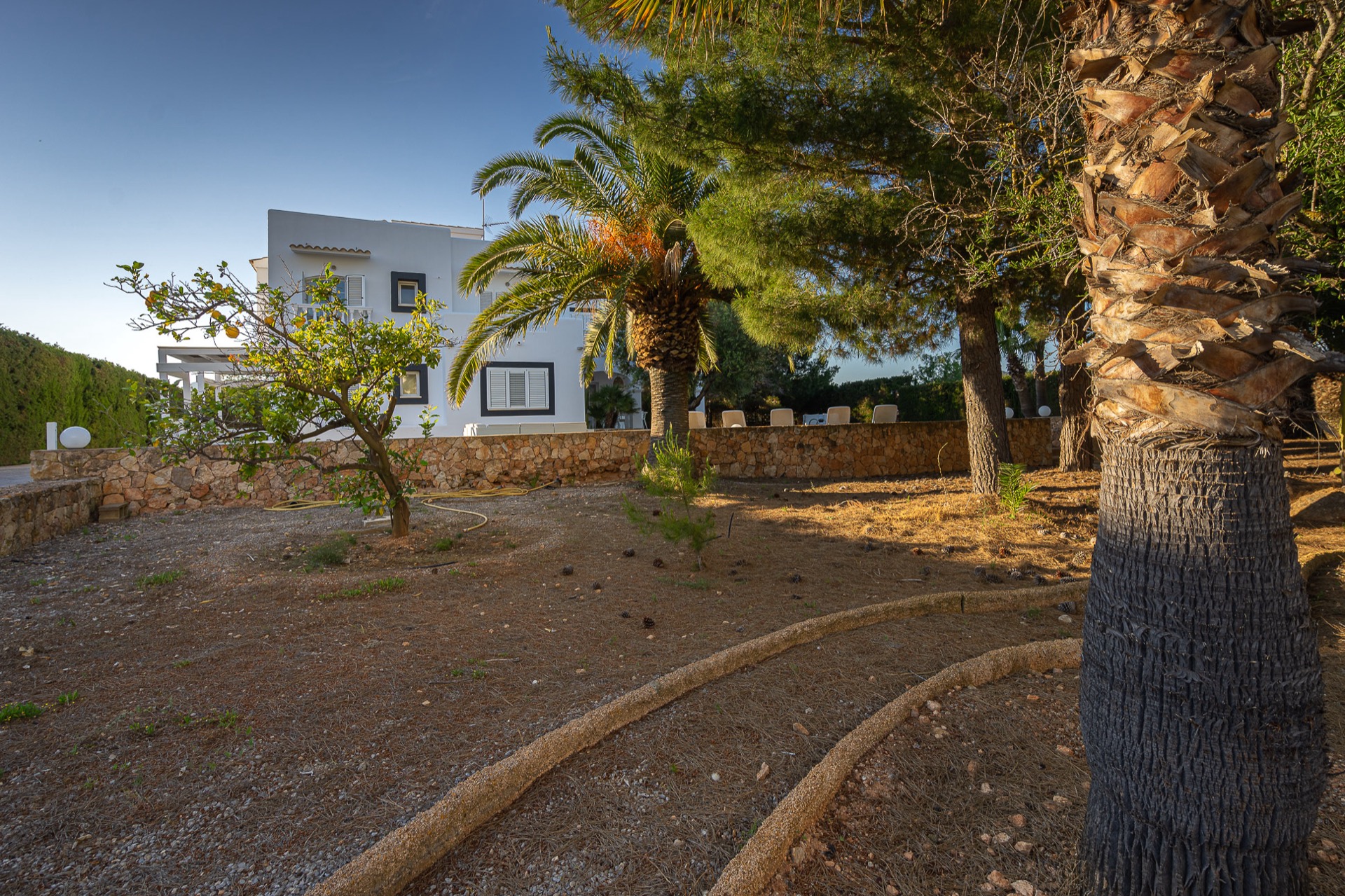 Vista aérea de Villa Oasis Ibiza y su entorno